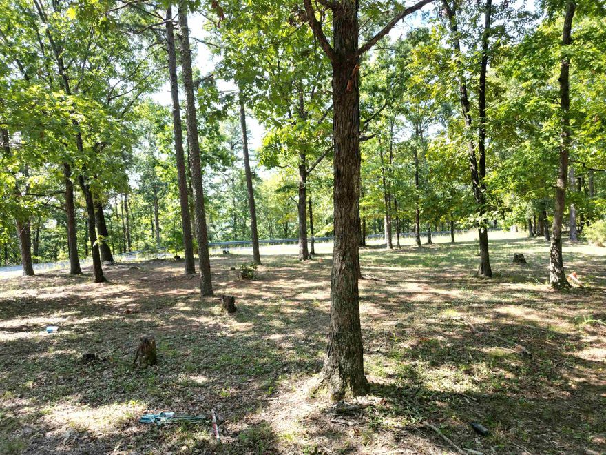Discover 6.18 acres of opportunity at **507 Henderson Rd in Clinton, AR**. This beautiful property offers a blend of open space and natural surroundings, giving you the perfect canvas for your dream home, weekend retreat, or future investment. With plenty of room for a garden, animals, or outdoor recreation, the land provides endless potential to make it your own. Located just minutes from town, you’ll enjoy the peace and privacy of country living while still being close to shopping, schools, and conveniences. Whether you’re looking to build, place a mobile home, or simply enjoy the space, this acreage is ready to meet your vision.