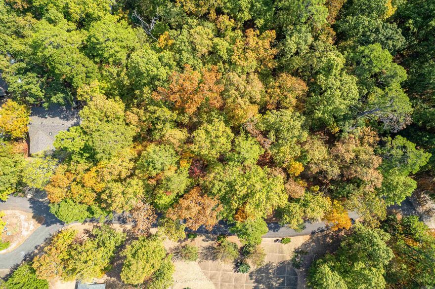 Fantastic construction site, selected by premium HSV builder! Lake view.  Call for details.