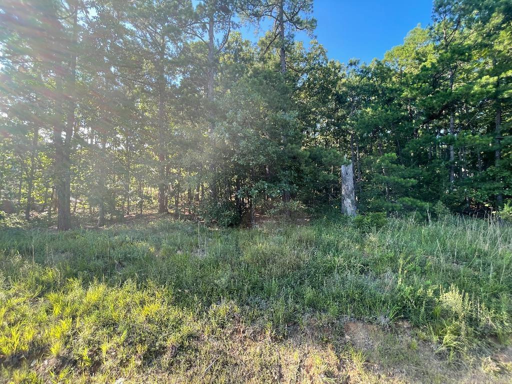 Spring Valley II - Land