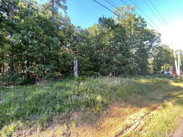 Spring Valley II - Land