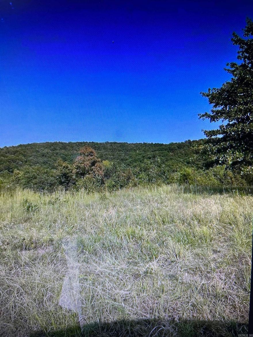 Looking for privacy with scenic views and endless potential? This beautiful 50-acre property offers a perfect blend of open pasture and wooded acreage, ideal for hunting, raising cattle, or building your dream home. Featuring peaceful ponds and a diverse landscape, the land provides both functionality and natural beauty. Located in the desirable Greenbrier School District, this property offers rural seclusion while remaining convenient to nearby amenities. Whether you’re seeking recreational land, a working farm, or a private homesite, this acreage presents a rare opportunity to create your vision.