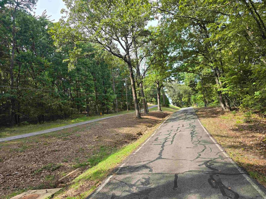 Discover the perfect opportunity to create your dream home or weekend getaway in the charming Ozark lake town of Fairfield Bay, Arkansas. This residential lot provides plenty of space to design and build the home you've always envisioned. Situated just minutes away from the Fairfield Bay Marina and Greers Ferry Lake, you'll have access to endless water-based activities such as boating, fishing, swimming, Fairfield Bay also offers 3 communities pools, mini golf, bowling, pickleball, tennis, restaurants, hundred miles of ATV & hiking/biking trails and so much more Embrace the tranquil atmosphere and breathtaking natural beauty of the Ozarks as you design you forever home or plan your weekend retreat. Don't miss out on the chance to be part of this lake town community, where the beauty of nature merges seamlessly with modern amenities and a relaxed lifestyle. Possible owner finance