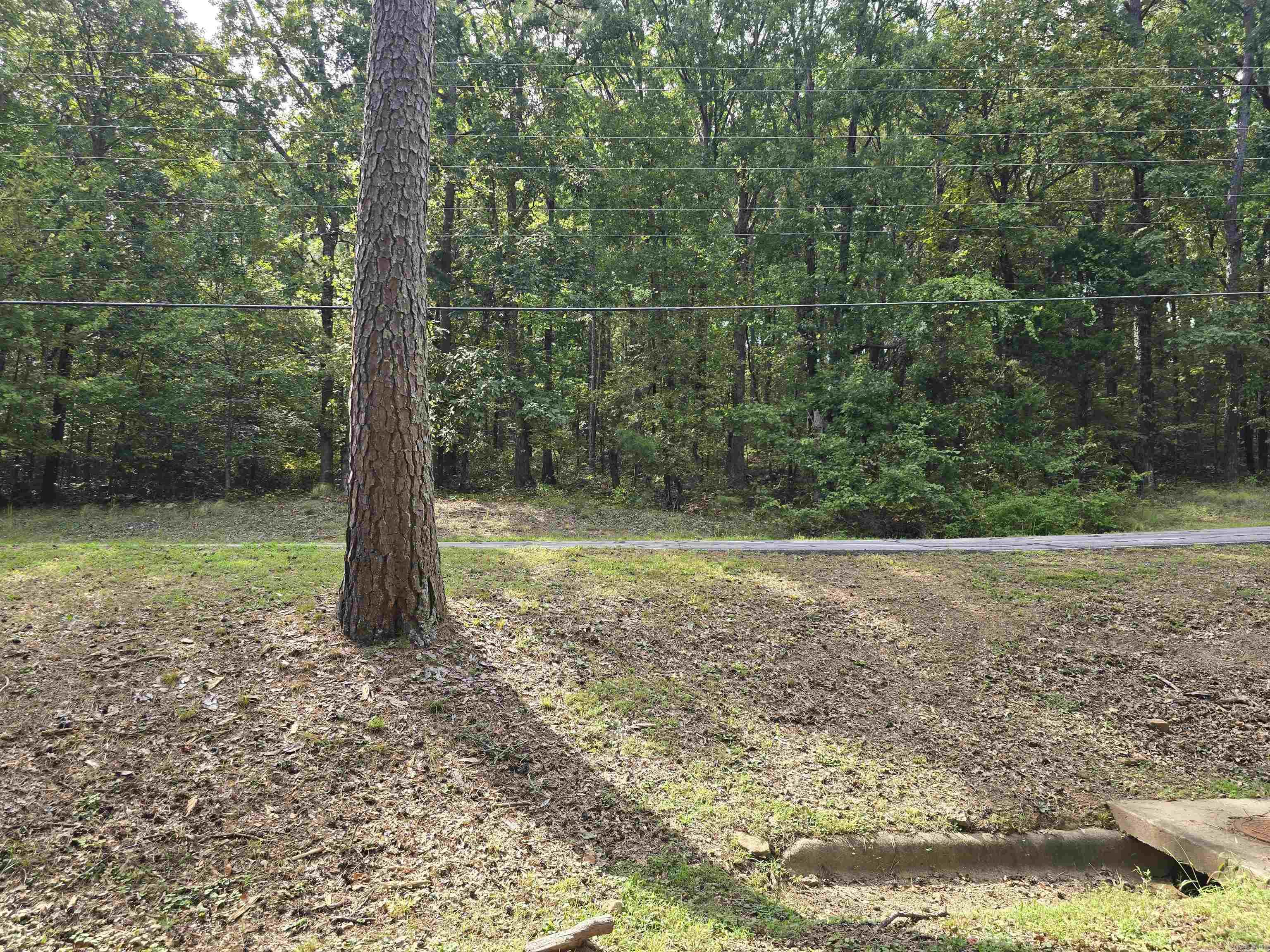 Chelsea Glade - Land