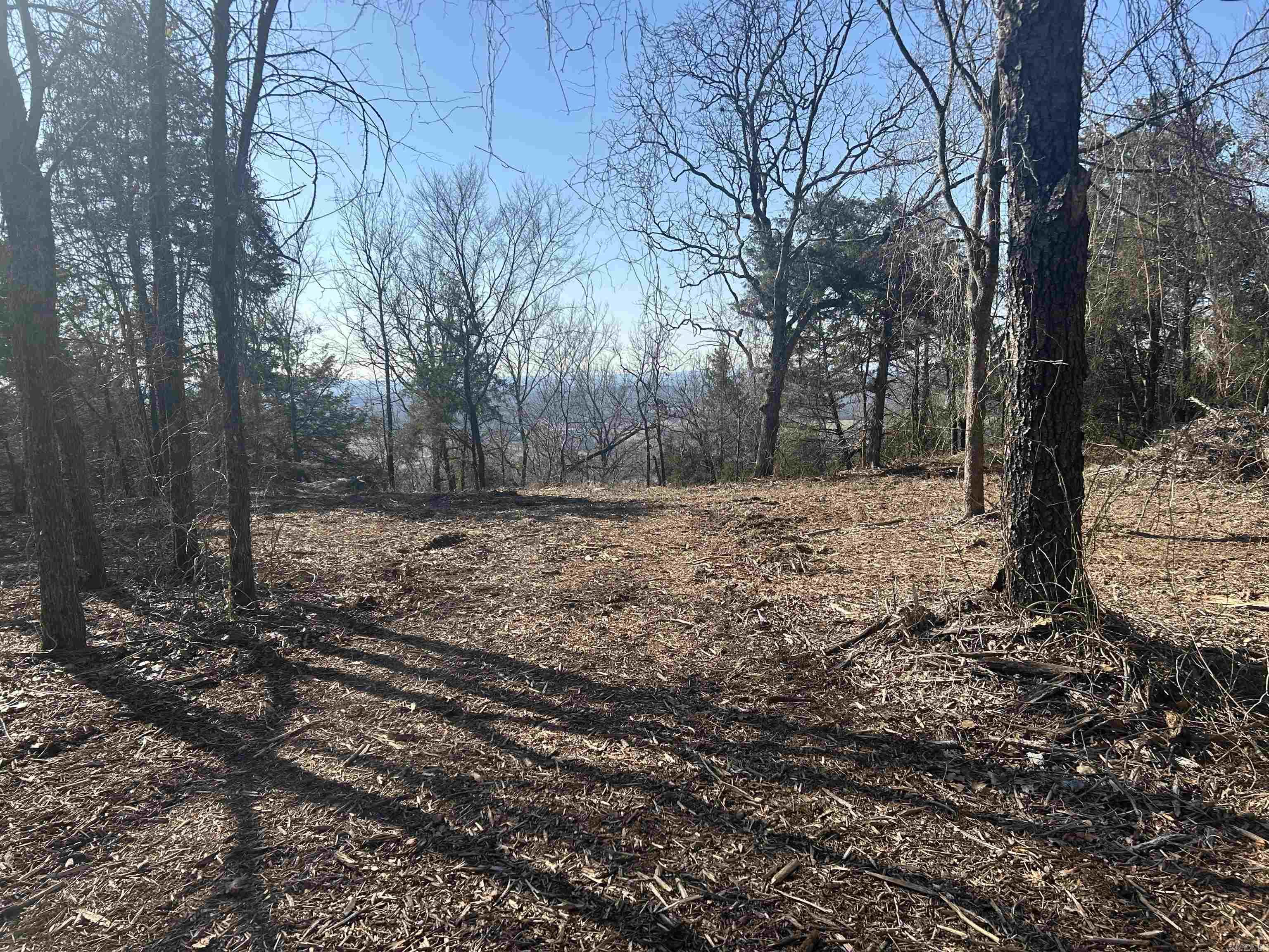 PRICE ADJUSTMENT!!!!! **Exceptional Bluff View Vacant Land - 5 Acres of Possibilities!** Discover the perfect canvas for your dream home on this stunning 5-acre parcel of surveyed land, offering breathtaking bluff views and the freedom to design exactly what you envision—free of restrictions! Embrace the tranquility of nature while enjoying the convenience of nearby amenities. This idyllic location is ideal for those seeking a private retreat or an opportunity for investment. With ample space to build and explore, you can create your sanctuary, complete with picturesque vistas and endless possibilities. Don't miss this rare opportunity to own your piece of paradise. Seize the chance to transform your dreams into reality! Contact us today for more details. Please see drone footage in "virtual tour" section.