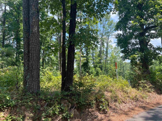 MR EGG RD, GLENWOOD, AR 71943 - Image 0ba74aaed7ca752e798fe83c822fa697/1147314324