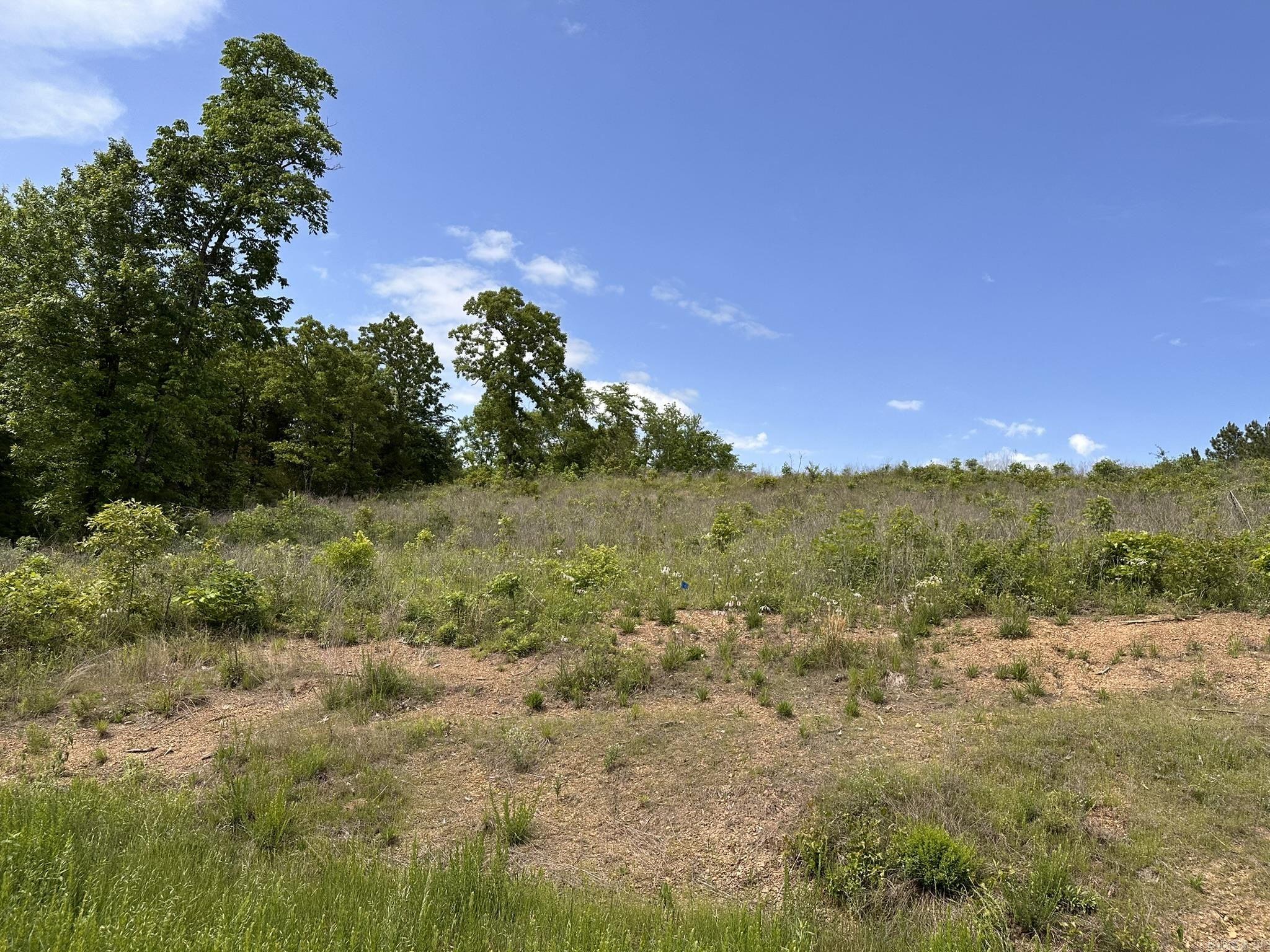 Panther Run Trail - Land