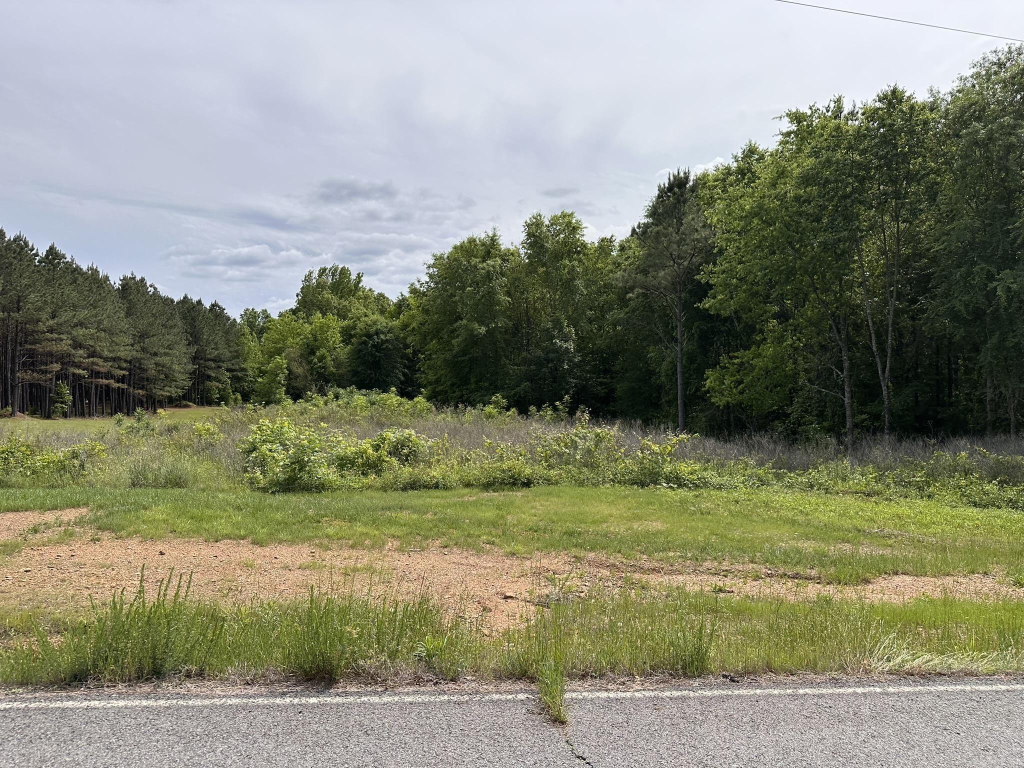 Panther Run Trail - Land