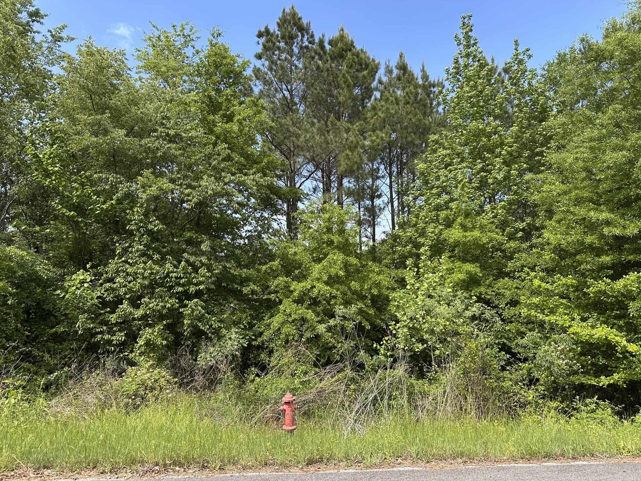 Panther Run Trail - Land