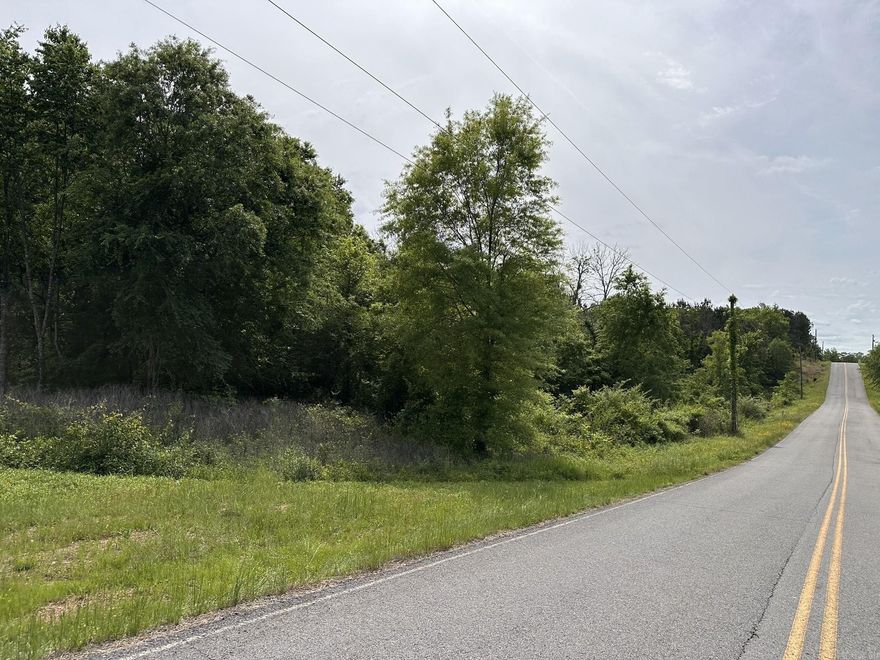 Looking for a small tract just outside of town to build your dream home? This 16 +/- acre property is it. Located approximately five miles from Greenbrier, it offers the perfect balance of privacy and convenience. With paved road frontage on both sides, utilities are readily available, and the rolling terrain provides opportunities for scenic views. A creek also runs through part of the property adds both character and natural appeal. Some areas along the creek are subject to flooding from storm run off.