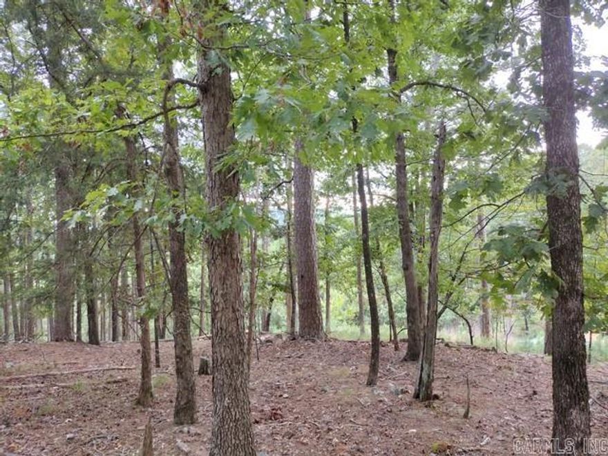 Beautiful Southerly view from the Mesero Way ridge.  Lot 008 Block 01 Mesero Subdivision, Saline County, Hot Springs Village AR  $300 Buy-In fee for HSV POA for first time buyers.