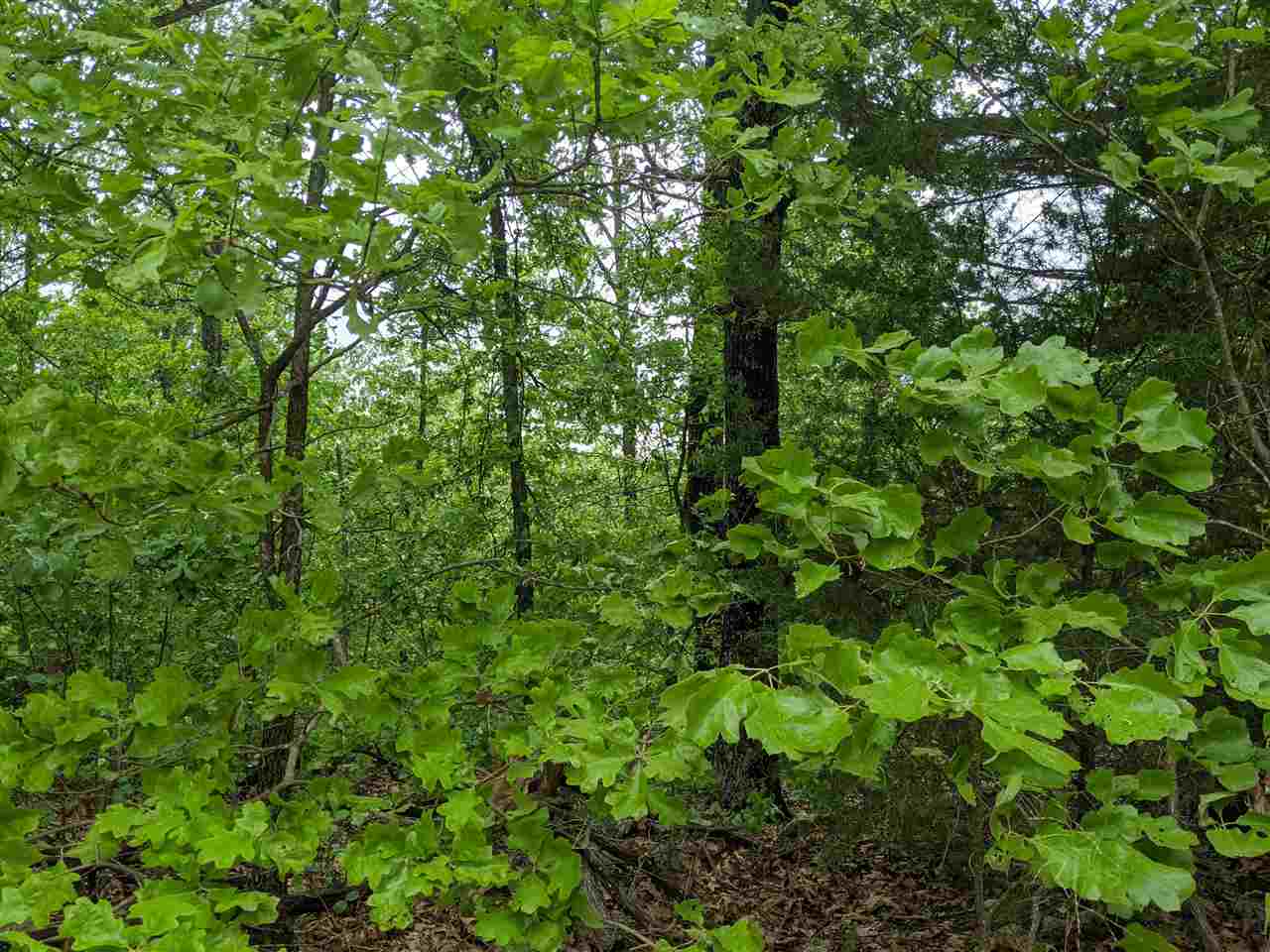 State - Land