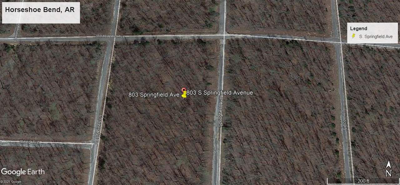 This quiet, wooded lot would make a great place to build your home in Horseshoe Bend! It is situated between Crown Lake and Diamond Lake which means you'll be close to great fishing, swimming, and other water activities. Ownership comes with access to all the Horseshoe Bend amenities including lakes, golf, and more! City water and power at the street; septic tank and permit required before some utilities can be installed