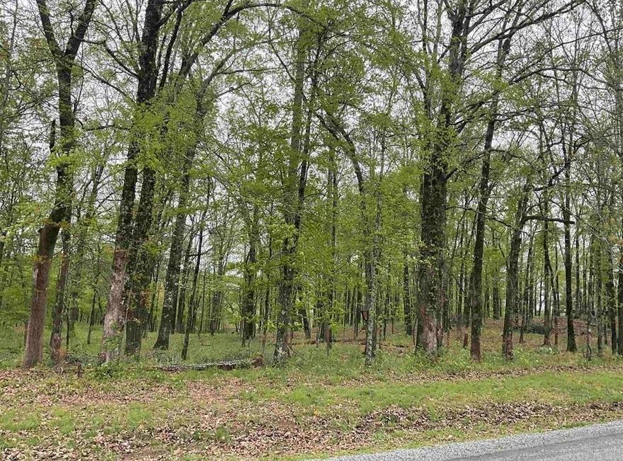 Price is for all 3 platted lots totaling 1 acre. Build your dream home (or vacation rentals) on entire acre or owner will subdivide into original 3 lots or split into 2 half acre lots. All lots gently slope and are very buildable. A stones throw from 1st tee, clubhouse and restaurant. Close to community entrance/exit. 2 minutes to pool, tennis, etc. Very nice and convenient location in wonderful community. Olympic size swimming pool, kiddie park, tennis/basketball courts. 14 miles of Lake Catherine shoreline. Just minutes from lake Catherine state park where you can enjoy boat rental, swimming and hiking.
