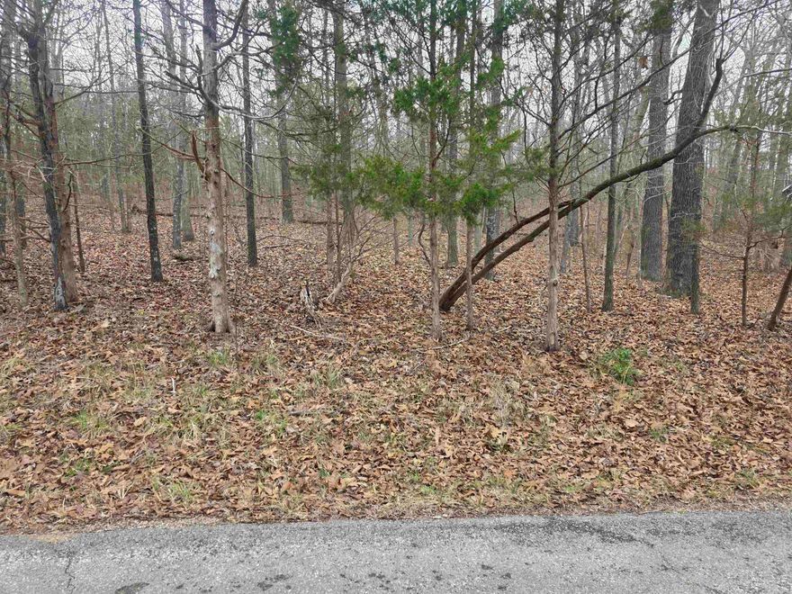 Wonderful and wooded lot in the heart of Cherokee Village. Secluded and away from it all. But close to a main road for quick exits from the Village for shopping, dining and entertainment. Buy this lot and pick your spot to build your dream home or just a getaway cabin. With ownership of this lot you will have access to all the amenities of Cherokee Village such as the 7 lakes and Two 18-hole golf courses also the Thunderbird Center and swimming pool, mini golf, parks, hiking trails and don't forget about the beautiful Southfork River for fishing, kayaking or just floating down to wet your toes. This is a wonderful lot to purchase and plan for your future home. Call to purchase this one