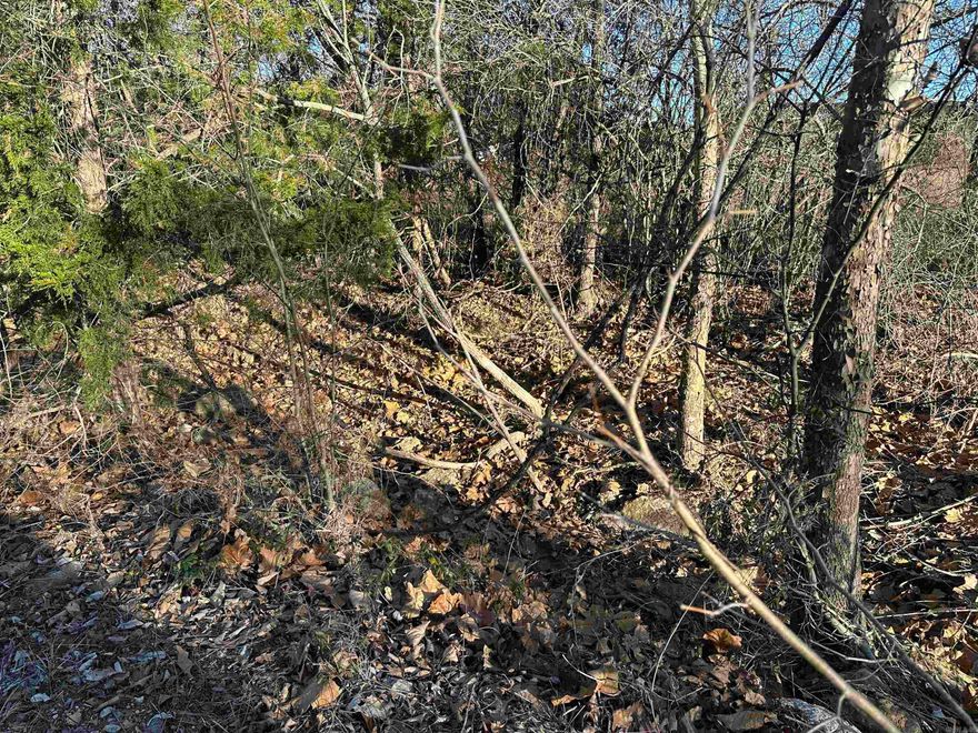 Unrestricted wooded 40 ac m/l located just outside of Mountain Home on Old Arkansas Road. Property has a seasonal creek and a nice building site overlooking the surrounding hills. Property has electric running nearby. Make this your hunting retreat or build a home overlooking farms.