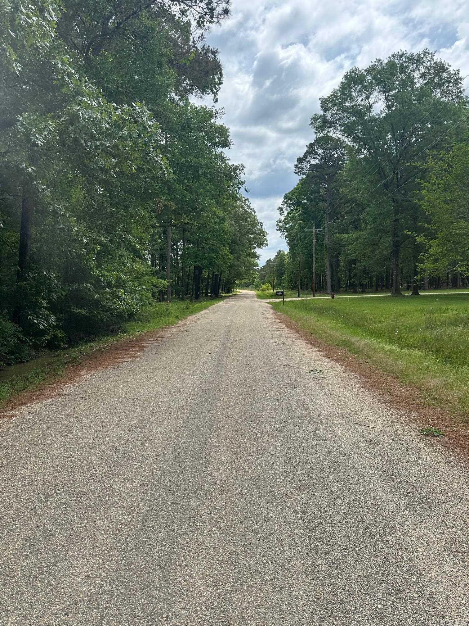 Great location for a homesite or investment property. Utilities available