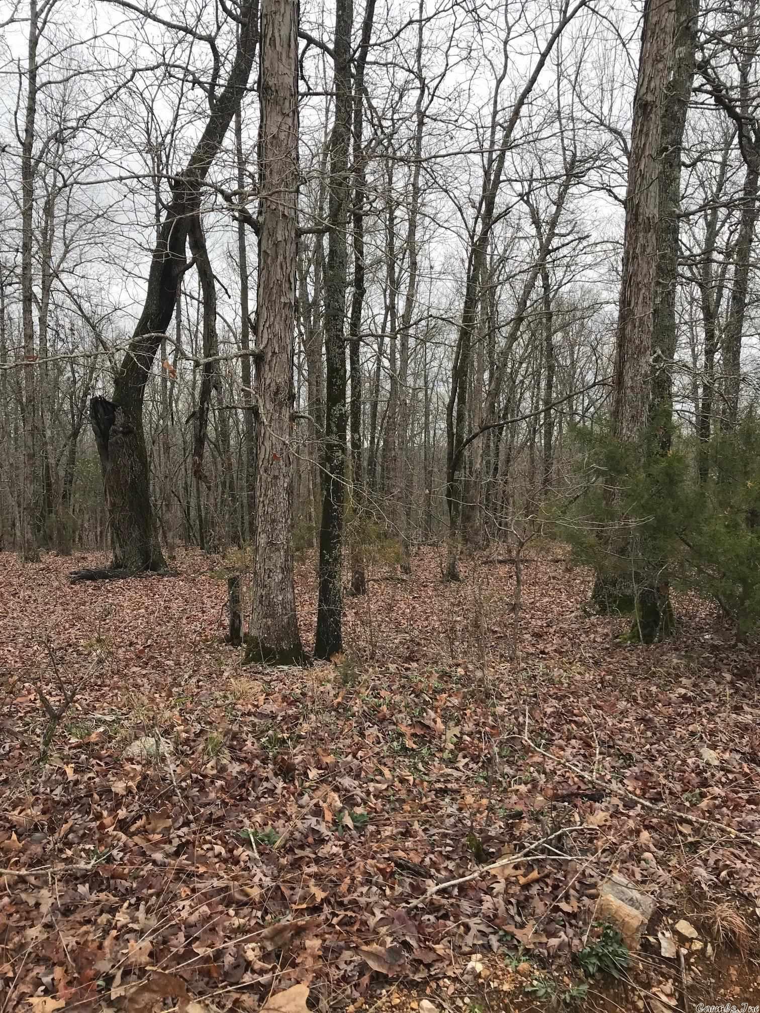 MCFADDEN ADNN BLUFFS - Land