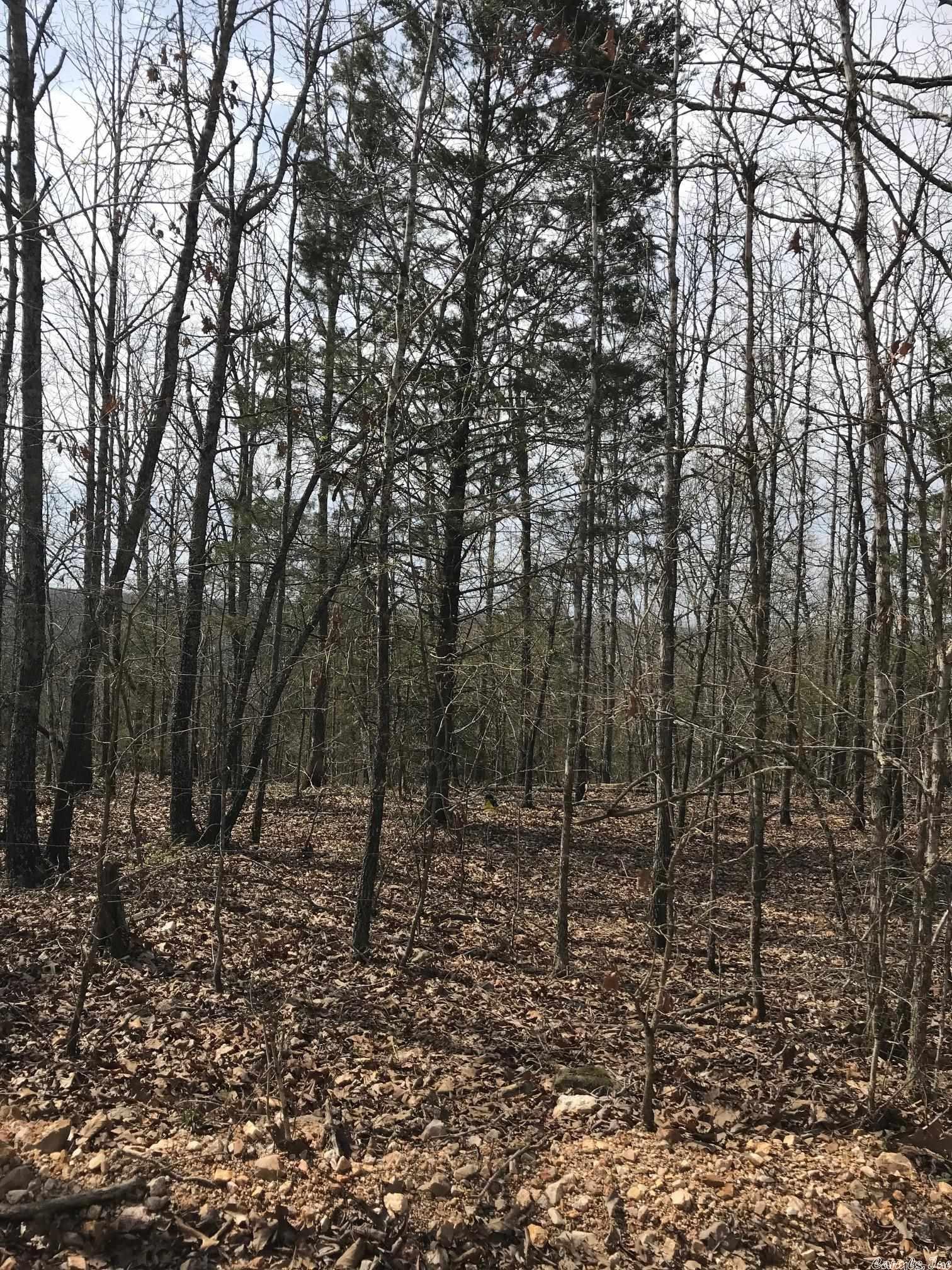 MCFADDEN ADNN BLUFFS - Land