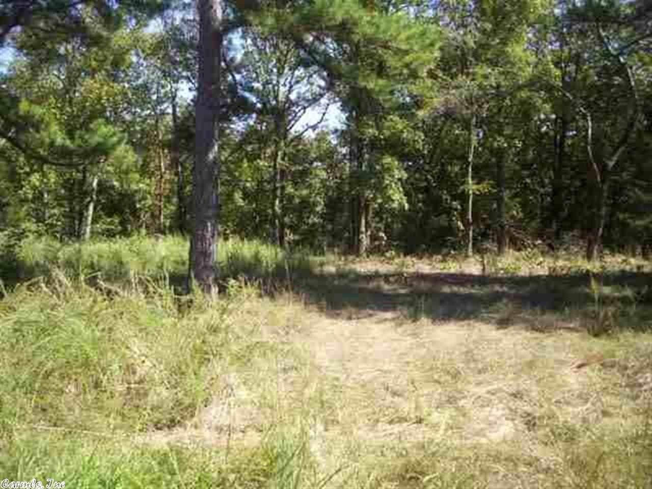 Lot 19. Lakefront lot in resort area with Tannenbaum Golf Course and Boat ramps nearby. No mobiles allowed and dwelling must contain a minimum of 1500 sq.ft. of heated and cooled living area.