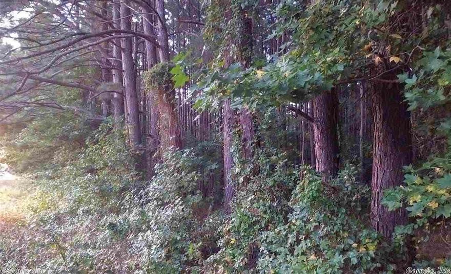 FIVE WOODED ACRES ON HWY 270. CLOSE TO BOTH SHERIDAN AND WHITE HALL. PRIVACY AND CONVENIENT ACCESS.