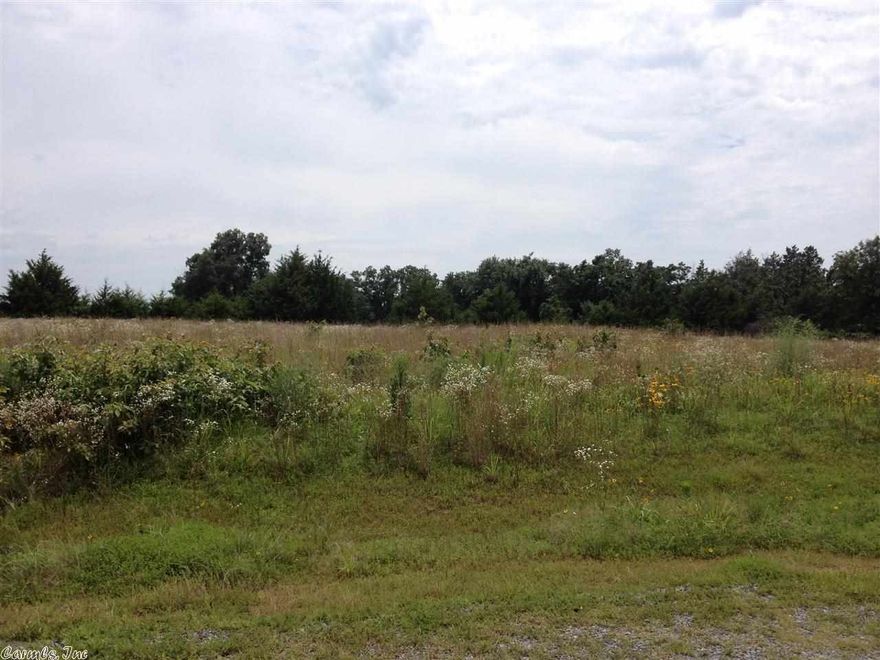 Very Beautiful level lot, cleared with city water and electric available at the road. 10 year or newer Mobile homes allowed, Owner Finance available with 10% down.