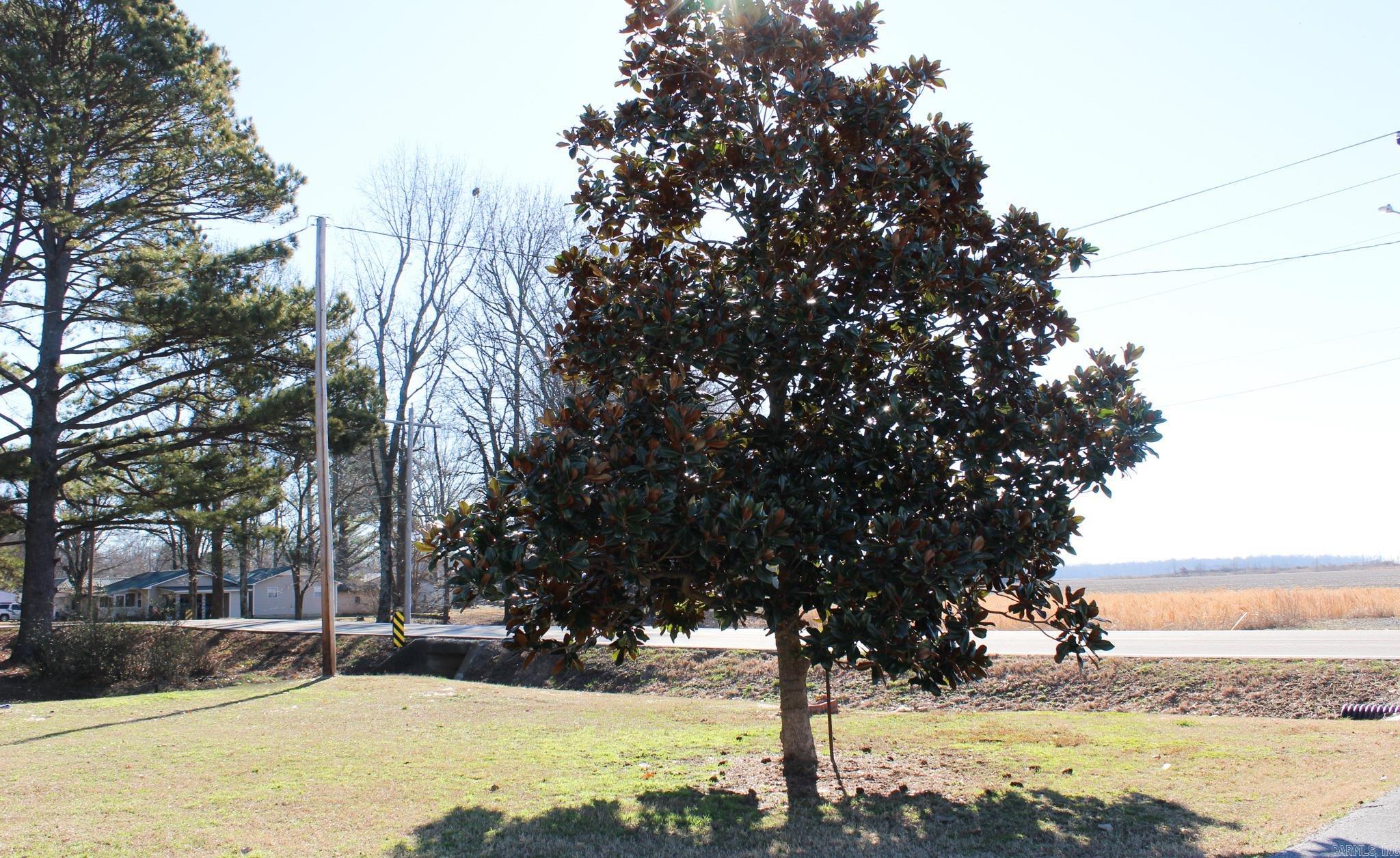 Griffithville Outlots - Residential