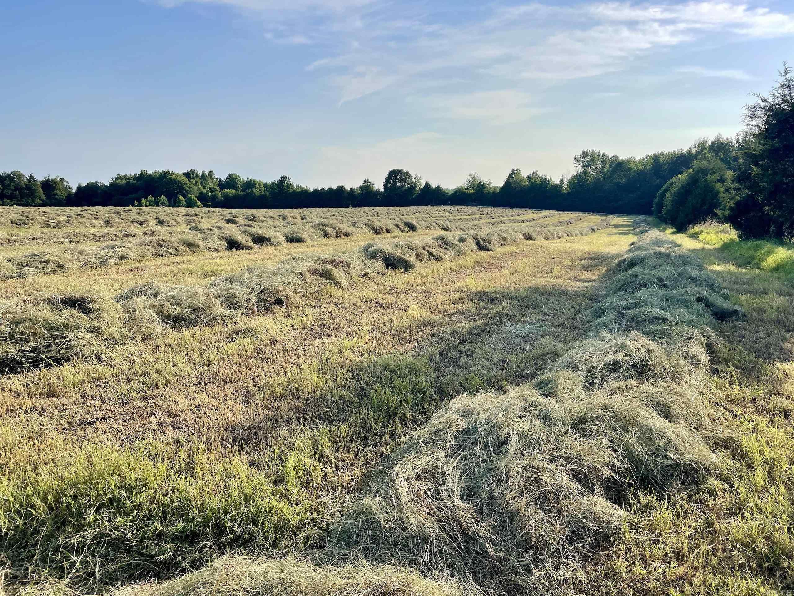 Not in Subdivision - Land