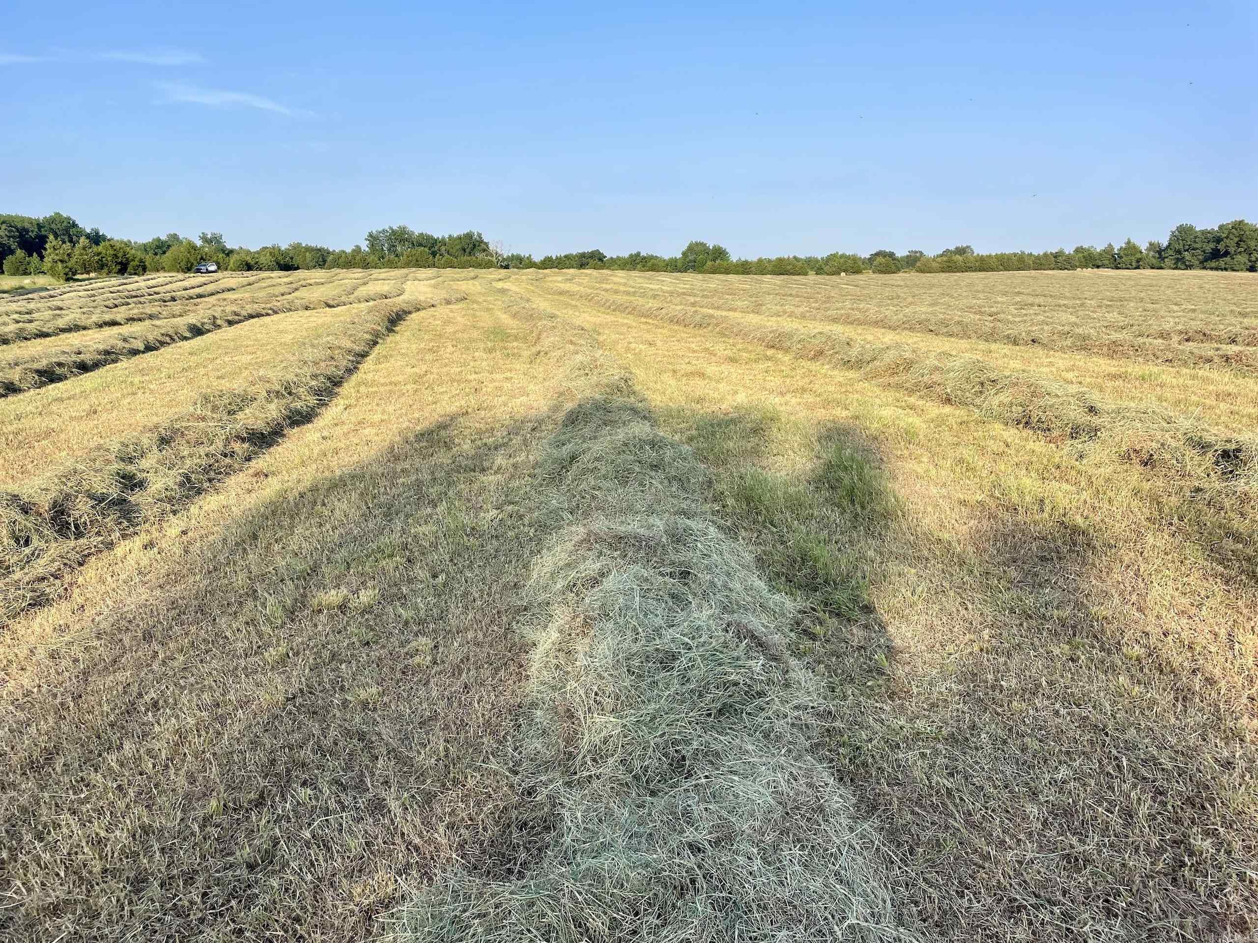 Not in Subdivision - Land