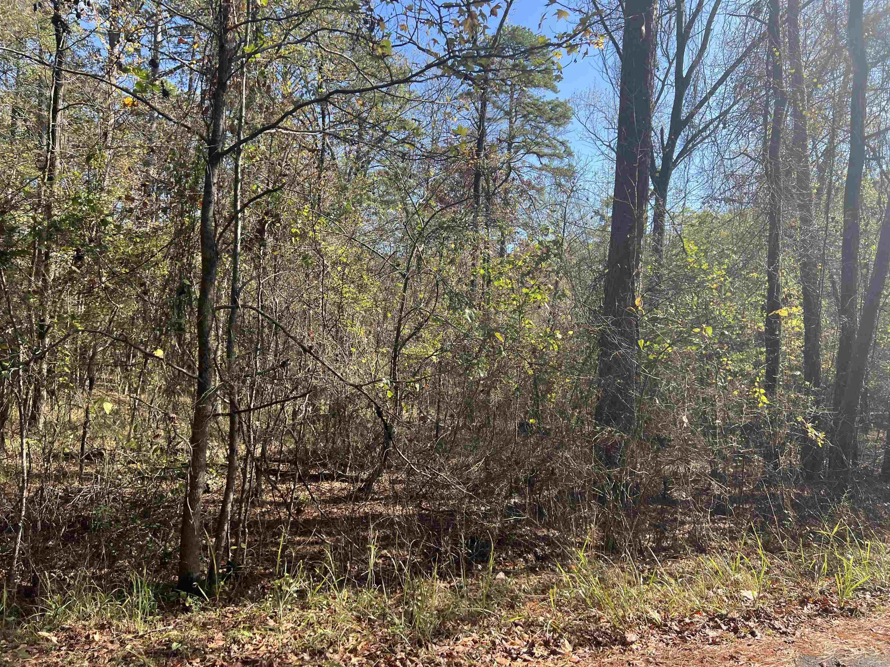 Located in Great Lake Cortez neighborhood in Hot Springs Village, the nation's largest gated community, it offers 9 beautiful golf courses, 11 recreational lakes, more than 30 miles of trails for hiking. New buyers to the Village have a $250.00 buy in fee payable to the POA at closing.