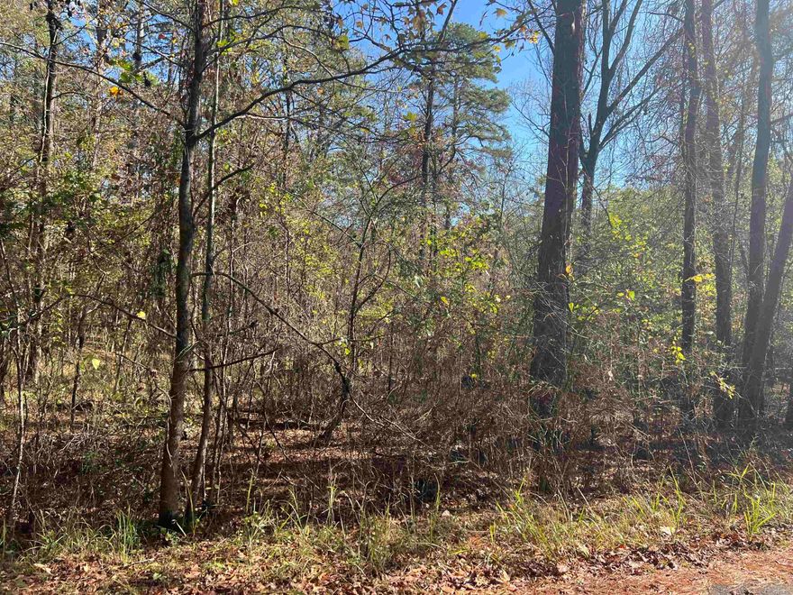 Located in Great Lake Cortez neighborhood in Hot Springs Village, the nation's largest gated community, it offers 9 beautiful golf courses, 11 recreational lakes, more than 30 miles of trails for hiking. New buyers to the Village have a $250.00 buy in fee payable to the POA at closing.
