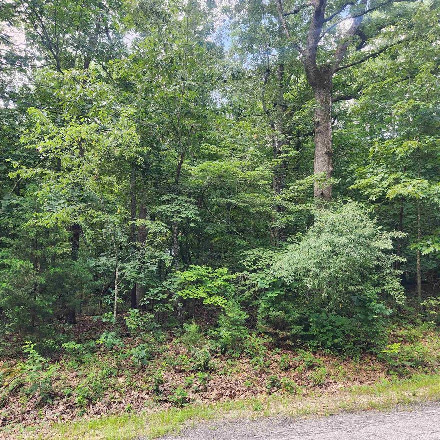Wonderful and wooded lot in the heart of Cherokee Village. Secluded and away from it all. Buy this lot and pick your spot to build your dream home or just a getaway cabin. With ownership of this lot you have access to all the amenities of Cherokee Village such as the lakes and golf courses and Thunderbird Center and swimming pool, mini golf, parks, hiking trails and don't forget about the beautiful Southfork River.