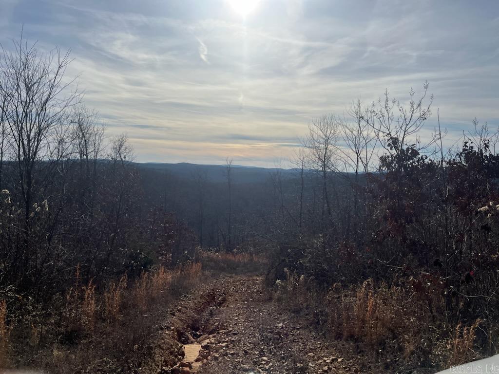 Very nice piece of property with some nice views. Water and electric nearby at road will need a water tap. Has been logged. Will have some excellent hunting on it. Very near highway 16. Magnificent sunset mountain views.