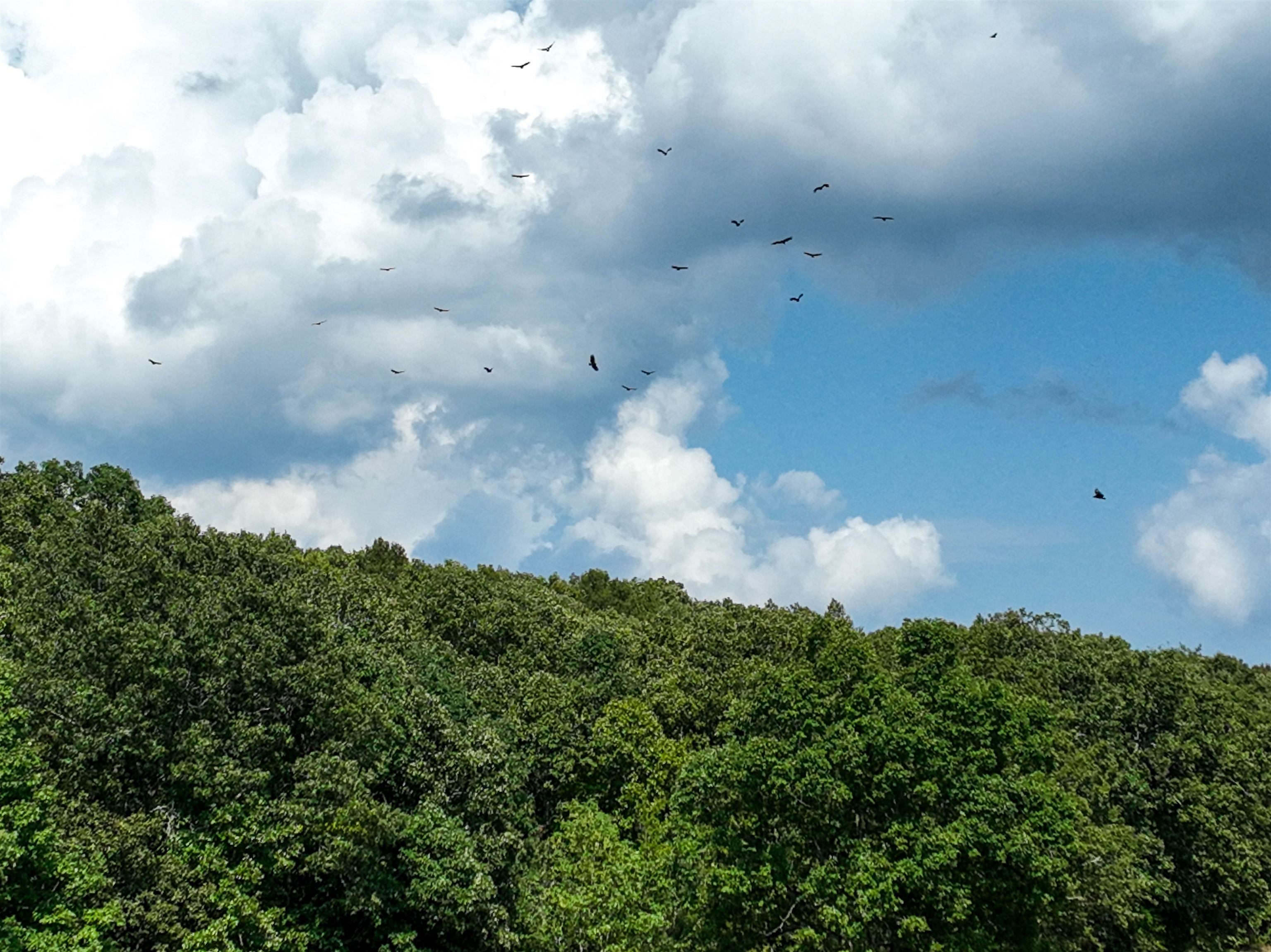 Mountain Ranch Estates - Land