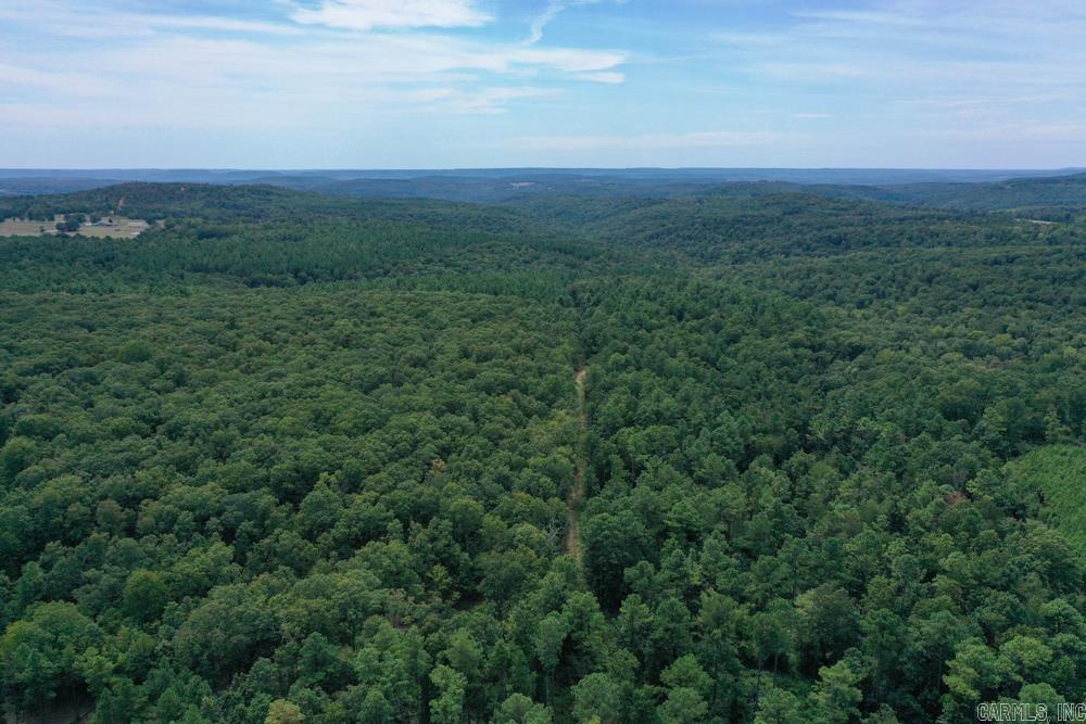 This 53 +/- acre tract offers the ultimate combination of convenience, recreation, and ready-to-enjoy improvements. With a well-established trail system winding throughout a beautiful mix of pines and hardwoods, the property is easy to explore and perfectly set up for hunting, hiking, or ATV riding. Wildlife is abundant, with deer and turkey frequently seen across the rolling terrain, making this an ideal recreational getaway or hunting property. The land also features paved county road frontage for easy access, along with a 409 square-foot mobile unit already set up with electric, water, and septicāperfect for a weekend retreat, hunting cabin, or base camp while you build your dream home. Just 20 minutes from Clinton, Arkansas, this property offers the peace and privacy of the outdoors with small-town conveniences close by. Whether youāre looking for a hunting property, timber investment, or a recreational retreat with utilities in place, this 53 +/- acre tract is ready to enjoy from day one.