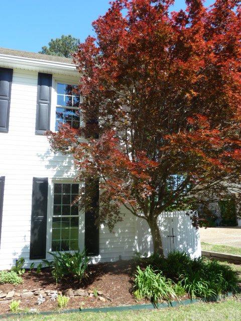 Club Manor - Residential