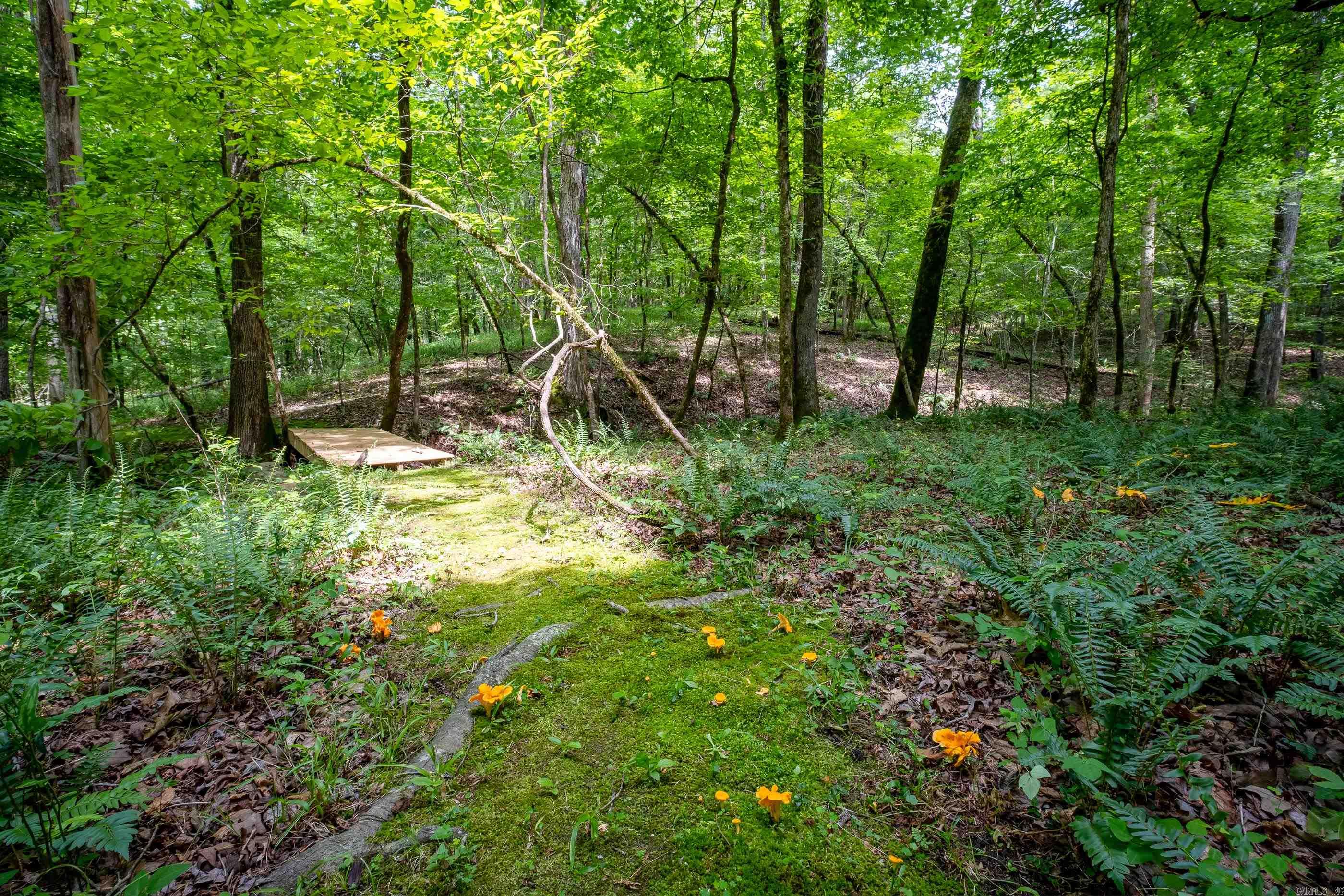 Saline - Residential