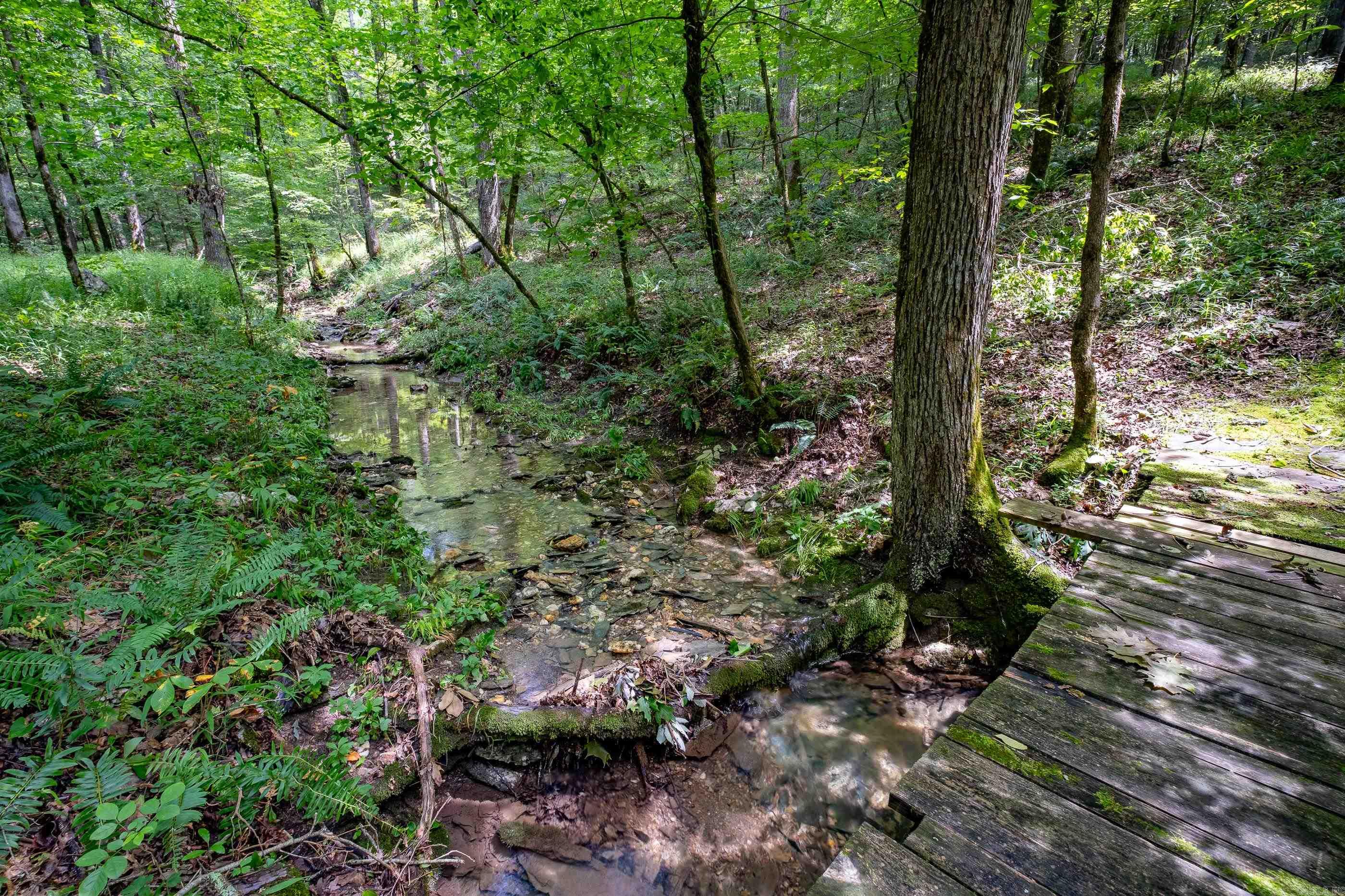 Saline - Residential