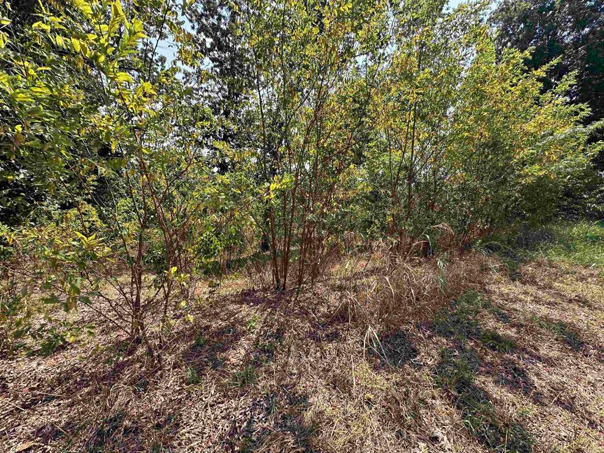 Build your dream home on this 3 acre property in Horseshoe Bend, Arkansas. Located just minutes away from the golf course, this wooded lot offers both privacy and convenience. Whether you’re planning a full-time residence or vacation spot, this parcel puts you close to Diamond Lake. With easy access to town, it’s the perfect canvas to clear and build your vision.