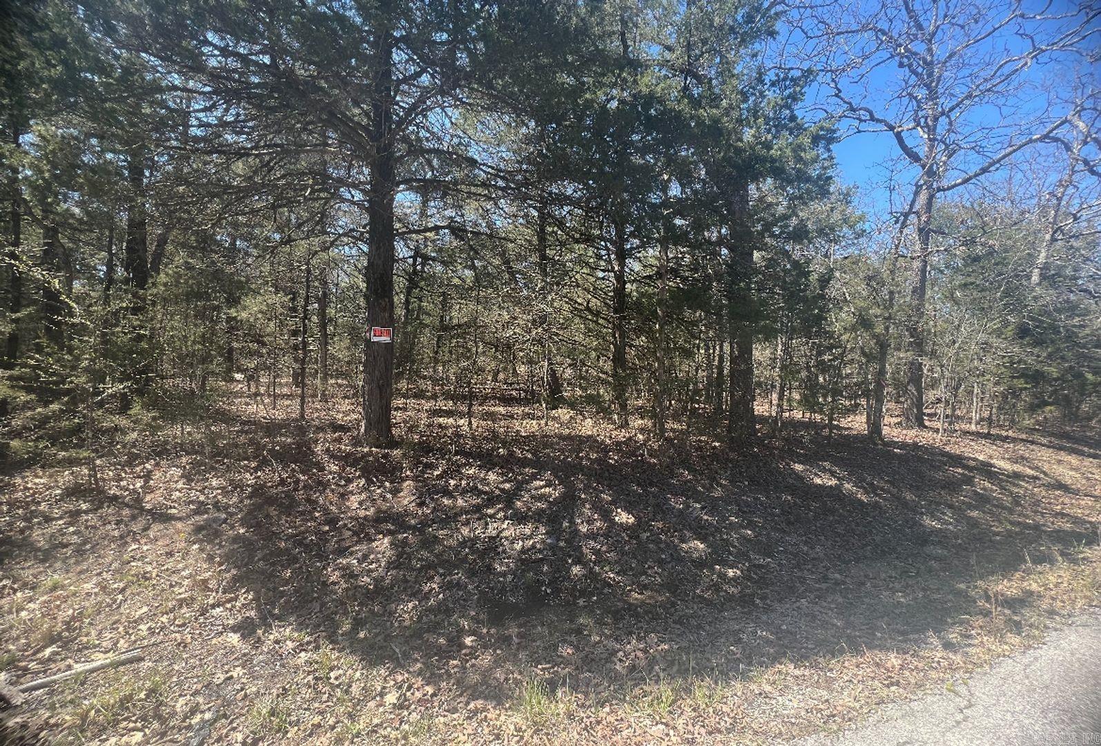 Owner Financing available- This building lot is a 1/2 mile to downtown Horseshoe Bend! This leaves you close enough to town where you have access to gas stations, stores, restaurants, and so much more. This wooded lot is 8276.4 sq ft and undeveloped. This gorgeous property is loaded with deciduous trees. It is located far enough away from the noise and hectic that being close to downtown can bring and with its affordable price and great potential! Utilities nearby! The Horseshoe Bend Water Department will have Water & Sewer information for you concerning water service and trash service. That number is 870-670-5885 or you can email at water@cityhsb.org The electricity is provided by North Arkansas Electric Cooperative. Their number is 870-895-3221. Here is your opportunity to buy a beautiful piece of land in Horseshoe Bend. It is the perfect place to build or use as a vacation spot for yourself or your family. Hold onto for yourself or give it to your kids down the road. This is a lot that everyone can enjoy for years and years to come. Crown Lake is within walking distance, which means you will be close to fishing, swimming, boating, and other water activities.