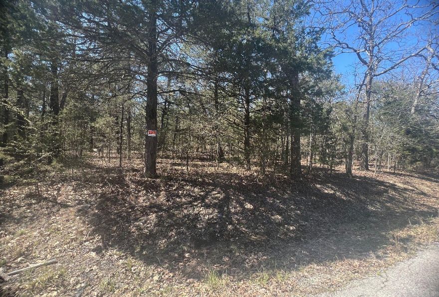 Owner Financing available- This building lot is a 1/2 mile to downtown Horseshoe Bend! This leaves you close enough to town where you have access to gas stations, stores, restaurants, and so much more. This wooded lot is 8276.4 sq ft and undeveloped. This gorgeous property is loaded with deciduous trees. It is located far enough away from the noise and hectic that being close to downtown can bring and with its affordable price and great potential!  Utilities nearby! The Horseshoe Bend Water Department will have Water & Sewer information for you concerning water service and trash service. That number is 870-670-5885 or you can email at water@cityhsb.org The electricity is provided by North Arkansas Electric Cooperative. Their number is 870-895-3221.  Here is your opportunity to buy a beautiful piece of land in Horseshoe Bend. It is the perfect place to build or use as a vacation spot for yourself or your family. Hold onto for yourself or give it to your kids down the road. This is a lot that everyone can enjoy for years and years to come.  Crown Lake is within walking distance, which means you will be close to fishing, swimming, boating, and other water activities.