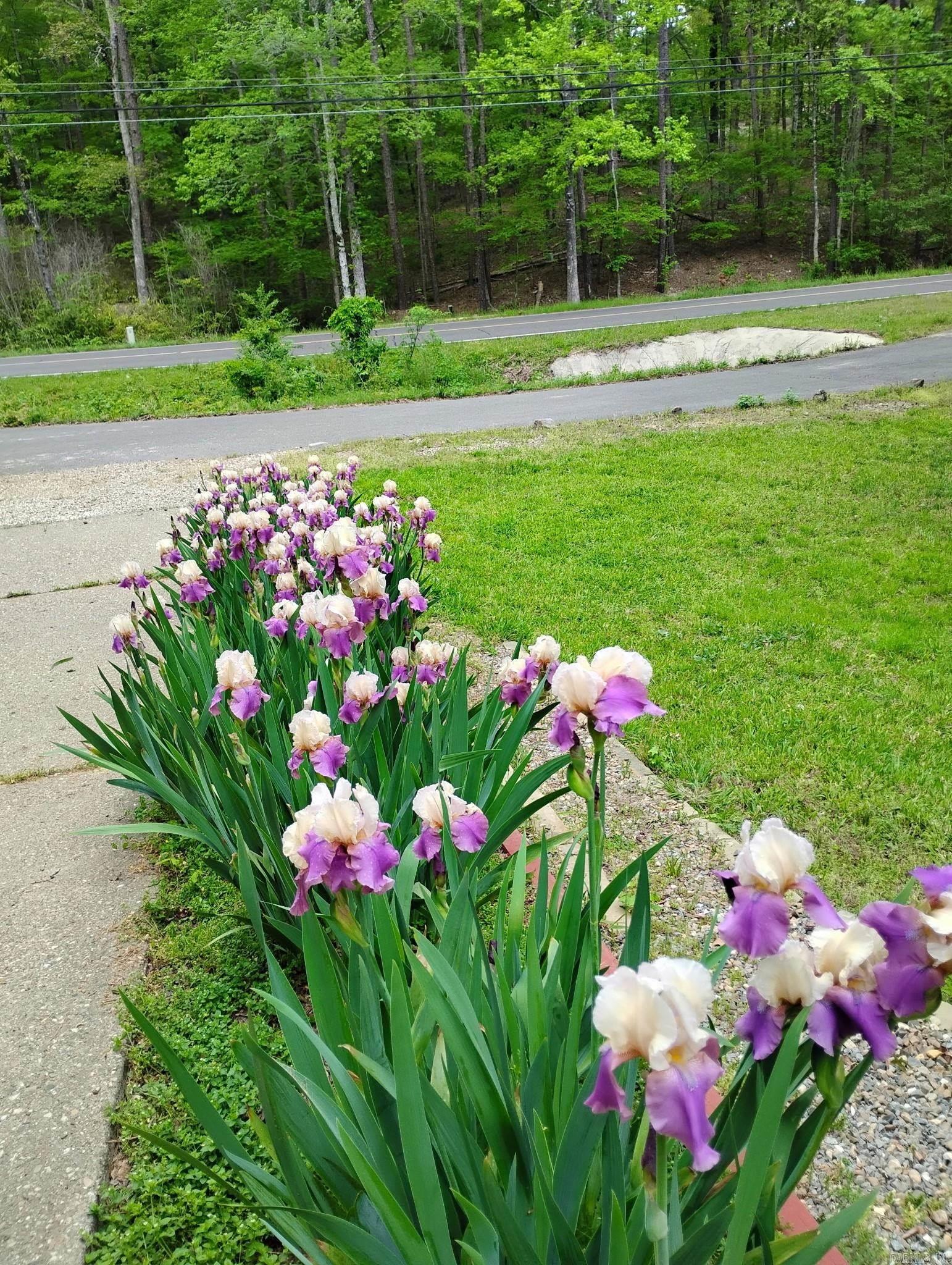 CARTAGENA - Residential