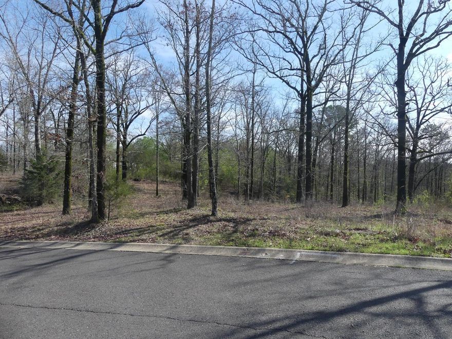 Nice building lot in LSSD