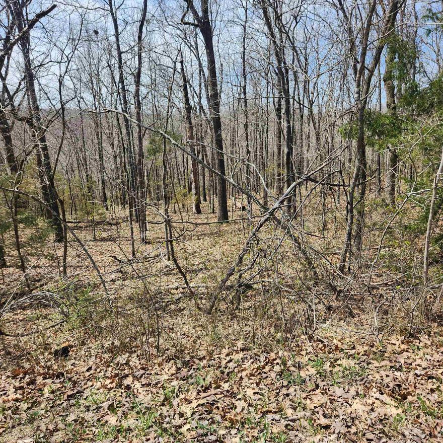 Really nicely wooded, hillside lot that could have outstanding views if a home was built properly. This lot sits high up on Flathead Rd with a possible great view over the Southfork River Valley. Flat head is a well-maintained road in the village. Come check this lot out, check out the view and see where you want to put your vacation home or your forever home. Retire here and fish 7 different lakes and golf 2 different 18-hole golf courses. Shop in Old Hardy town and trout fish the Spring River. Thats living the Cherokee Village lifestyle.