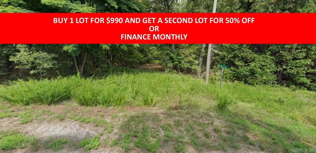 Buy one lot and get 50% off an additional lot! Owner-finance for easy terms. Cash buyers can pay by debit or credit card as well. Nice lot to develop or hold for future value. Public water and electric are available to run to property and will need septic. Owner/agent. No mobiles allowed. 600-2500 minimum build size on any other type of home, depending on subdivision. Finance is $100 down and 10 months at $99 and closing costs are included. Lots marked with red banner are part of promotion. No limit on lots. Buyer responsible for any/all taxes and lots sold "as-is". Quit claim deed conveys. Parcel ID# 215-14191-000
