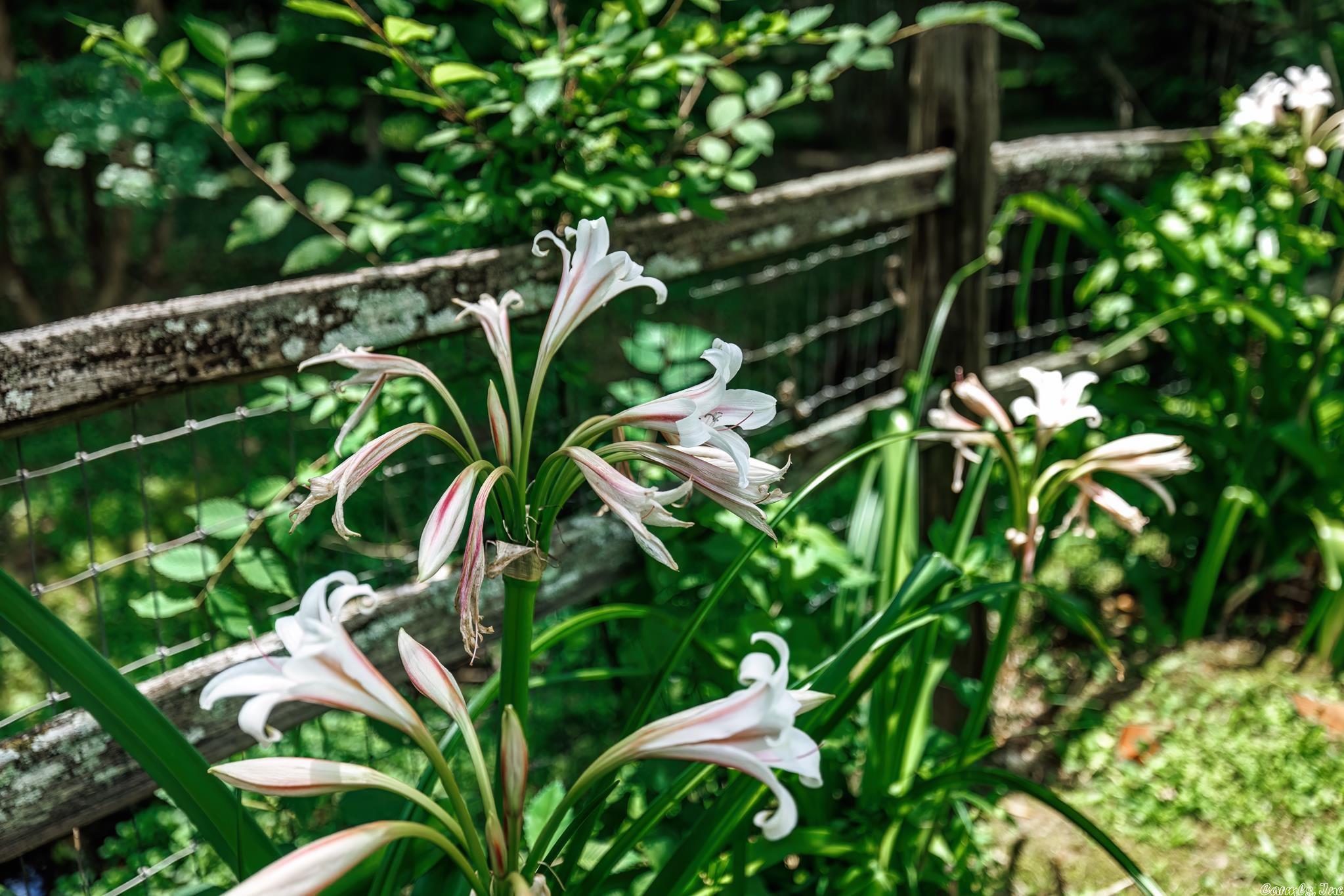 Eastgate 2 - Residential