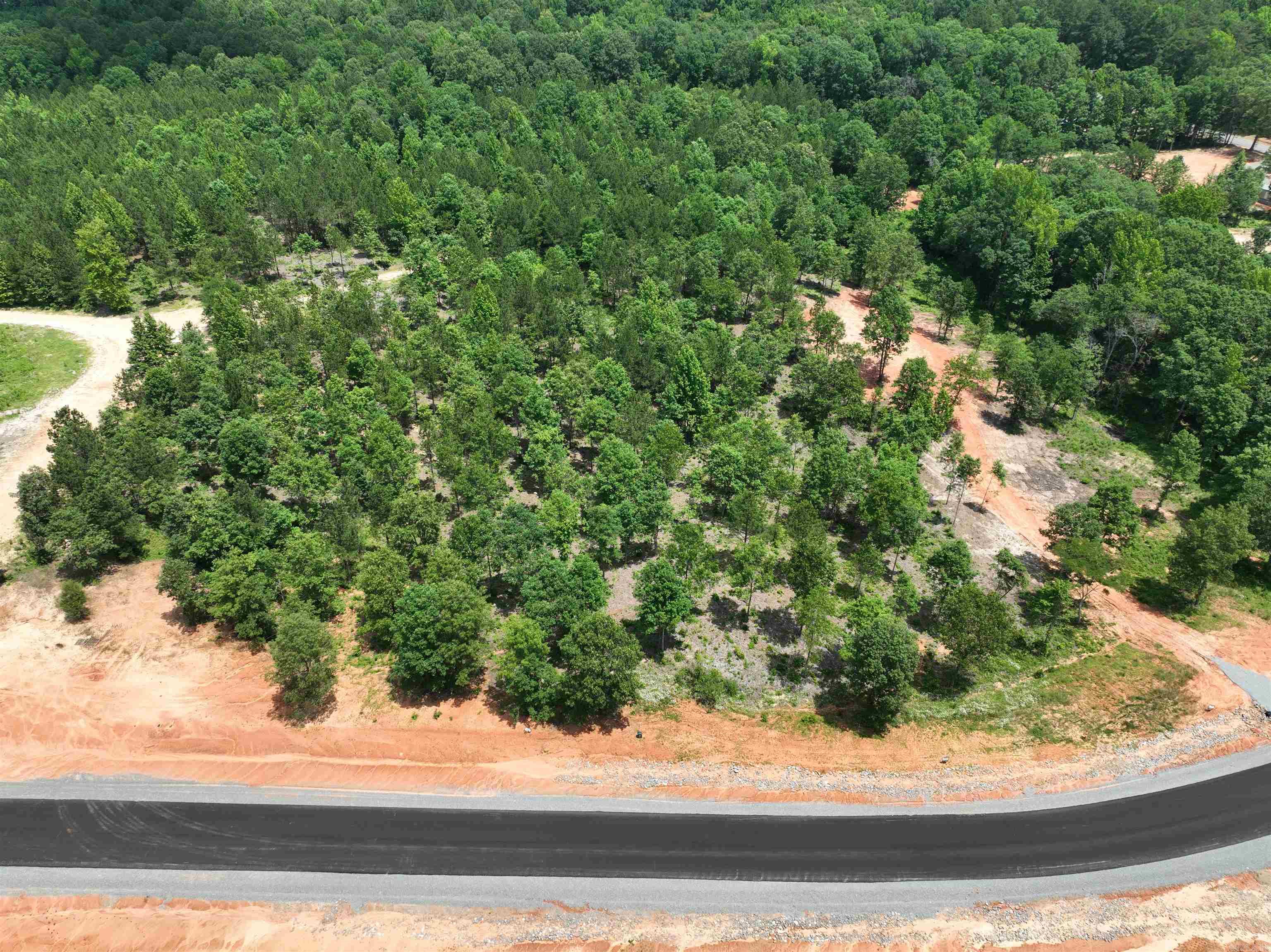 Mountain Pine - Land