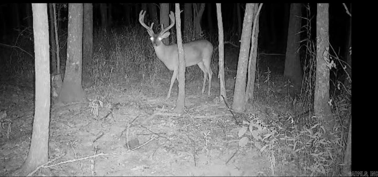 Not in Subdivision - Land