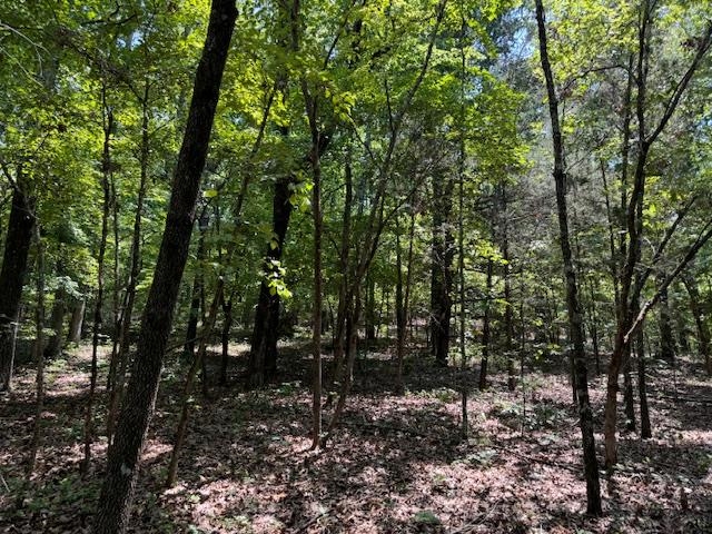 OZARKS WOODED ACREAGE FOR SALE NEAR GLENCOE AR Property located just off of Country Spring Rd, Glencoe, AR. This wooded tract has 6.8 surveyed acres. There are no restrictions. It consist mainly of mature hardwoods including various oaks. The land is gently rolling. It has several good building sites. It does have rural water to the property. There is an abundance of wildlife including whitetail deer. The property is approx. 1/4 mile off of a paved road. There is an easement from the county road to the property. It is 880 ft. from the county road. The real estate taxes last year were $8.60. There is no electricity on the property. This would make a great off grid property.