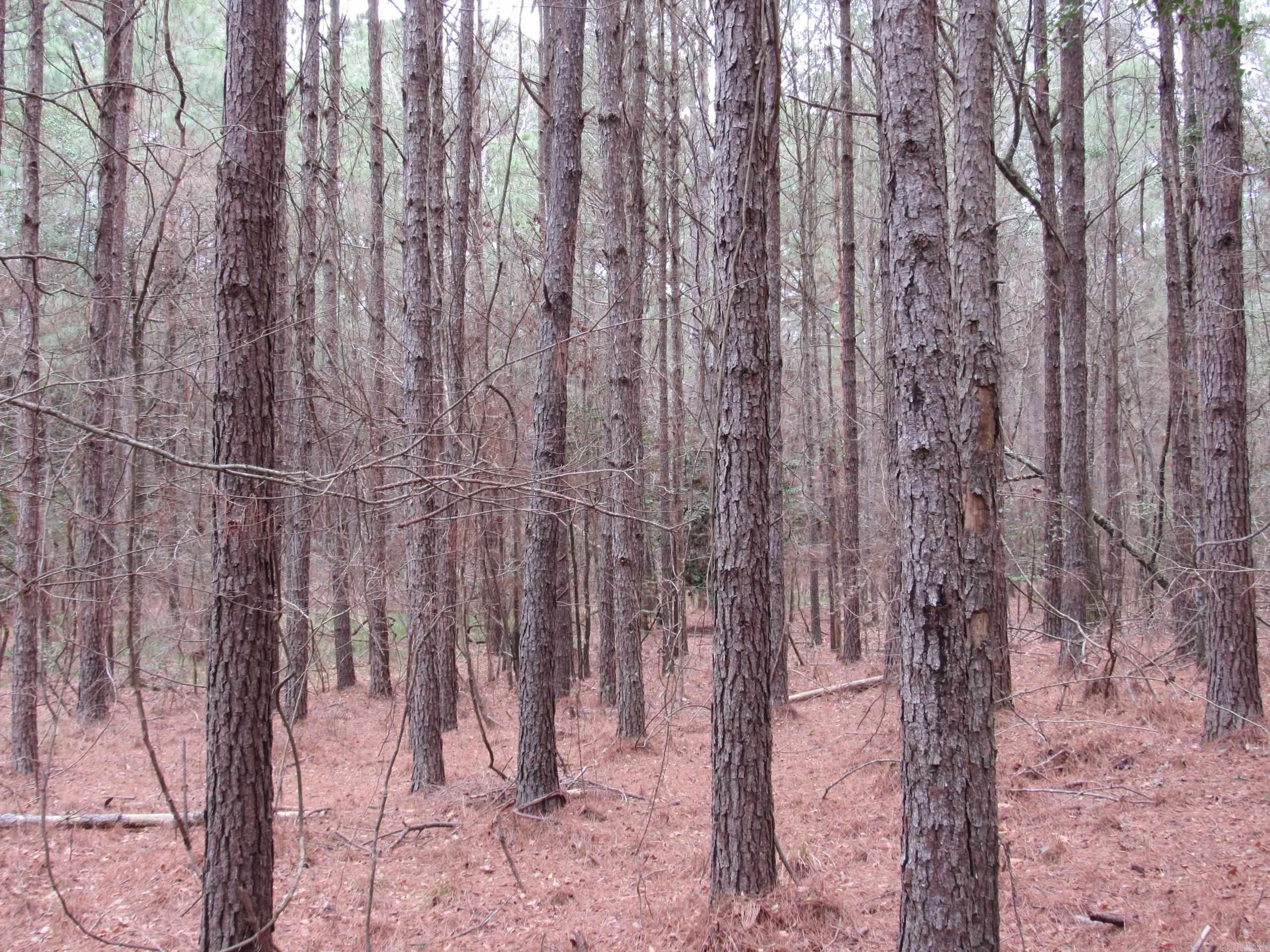 Not in Subdivision - Land