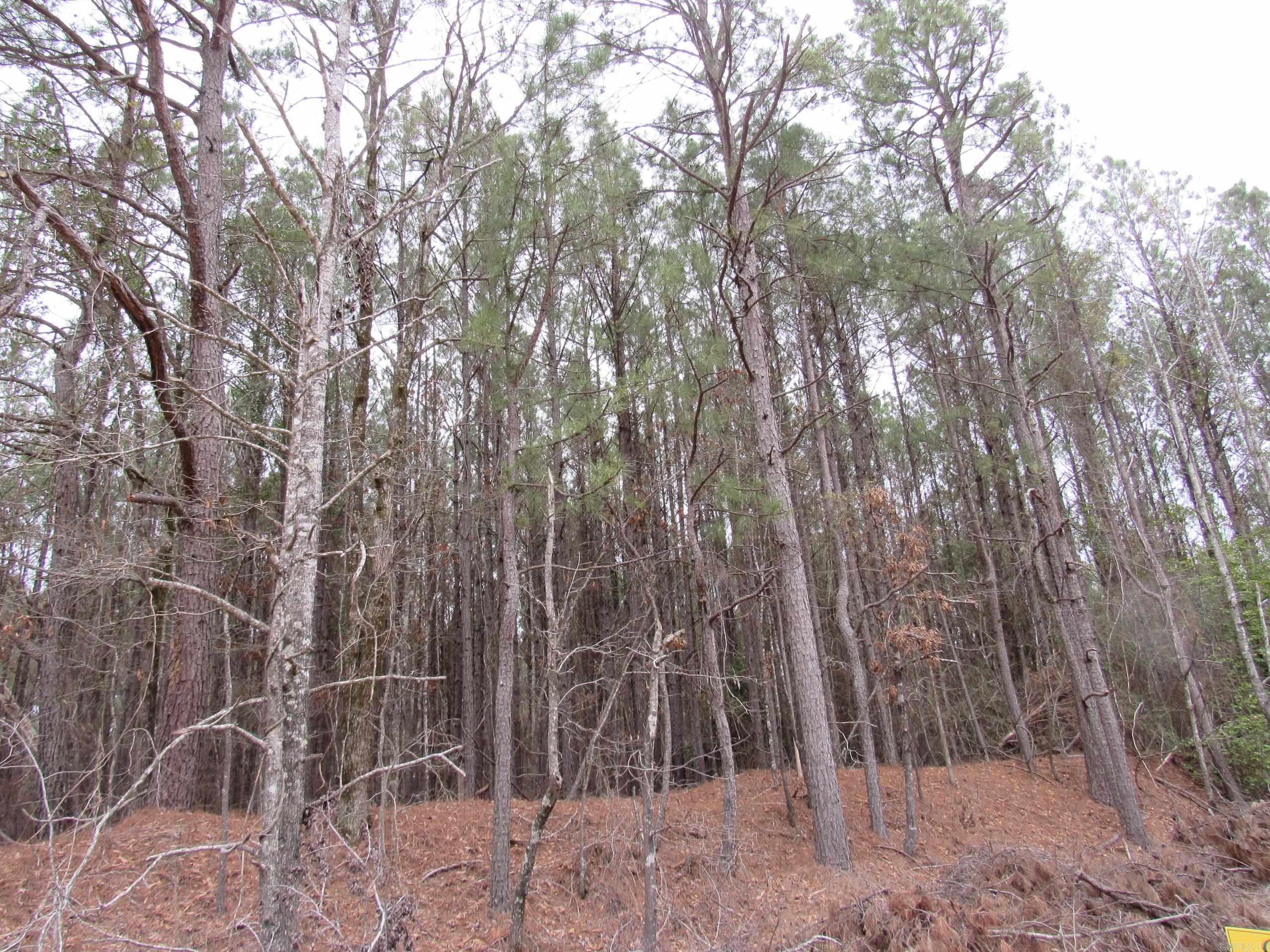 Not in Subdivision - Land